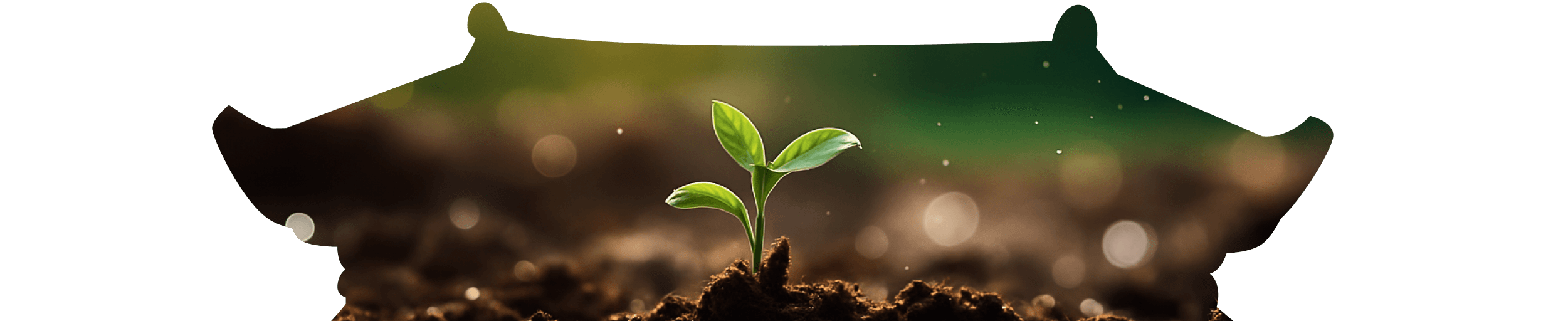 soil